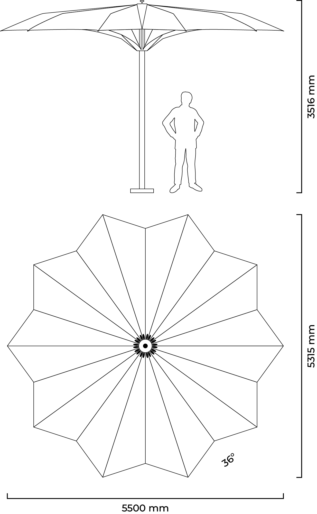 calotropis-04